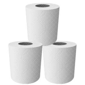 Toilet Paper 2Ply 350 Sheet Virgin 48's