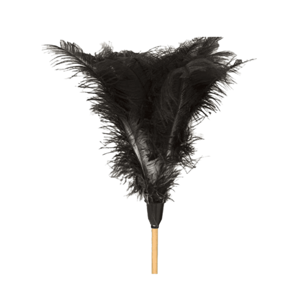 Feather Duster Long