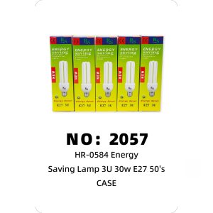 NO: 2057 Screw-mount light bulb 30W 1 CASE