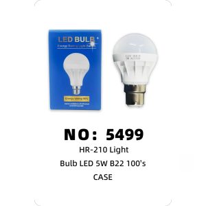 NO: 5499 Bayonet bulb 5W B22 CASE